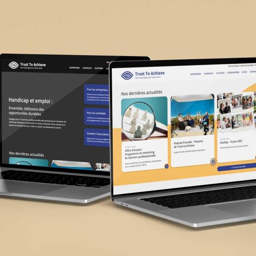 Vue de la page d'accueil du site Trust to achieve, avec thème clair et thème sombre