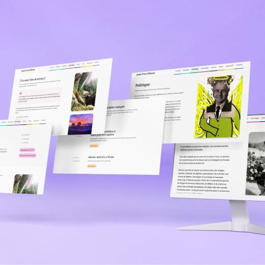 5 vue du site internet ou l'on aperçoit la mise en page du texte et le jeu des couleurs pour chaque section du site